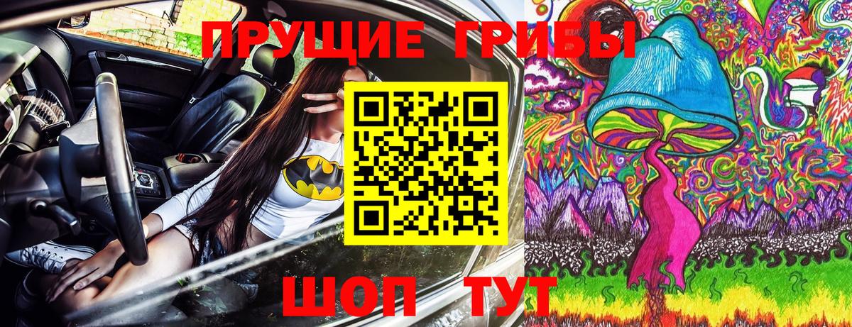 Пушкино  Псилоцибиновые грибы Psilocybe  Вход с VPN 